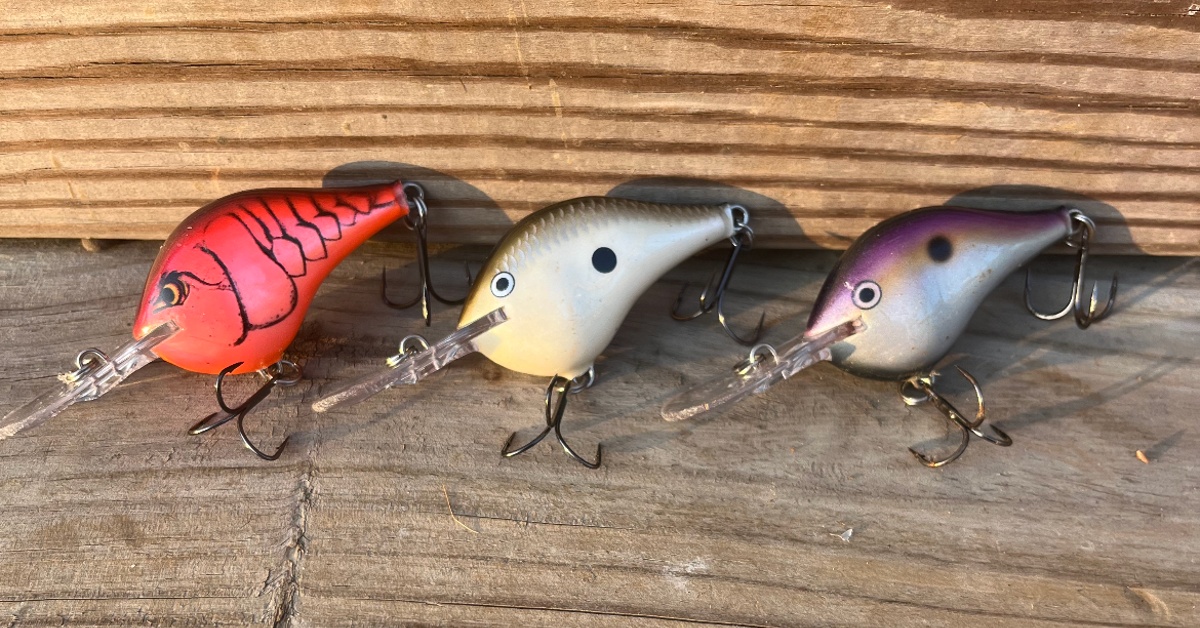 Read more about the article Gear Review: Rapala DT8