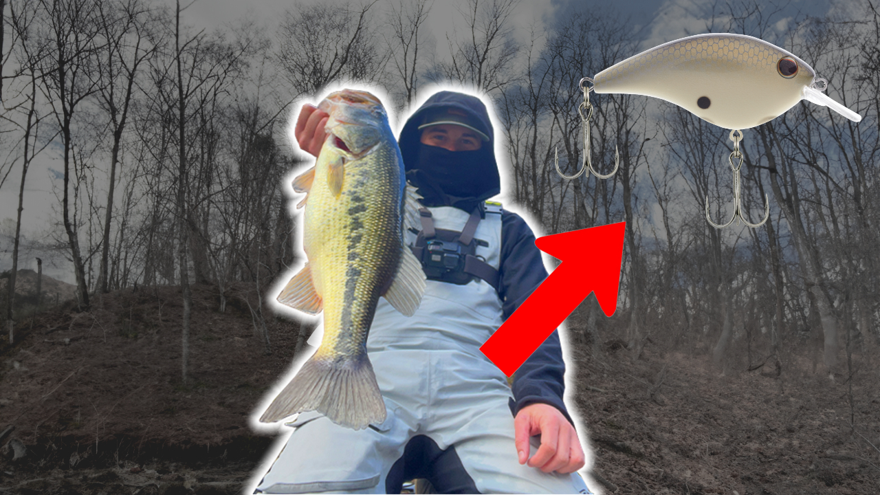 Read more about the article Catch bigger bass with this crankbait
