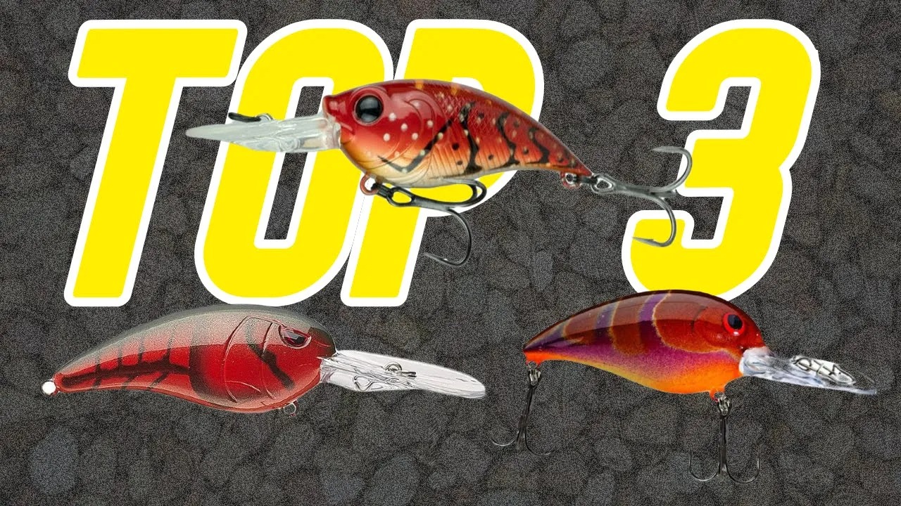 Read more about the article Top 3 Crankbaits for 60 degree water or less